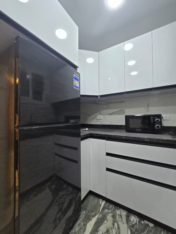 عباس العقاد الرئيسي7